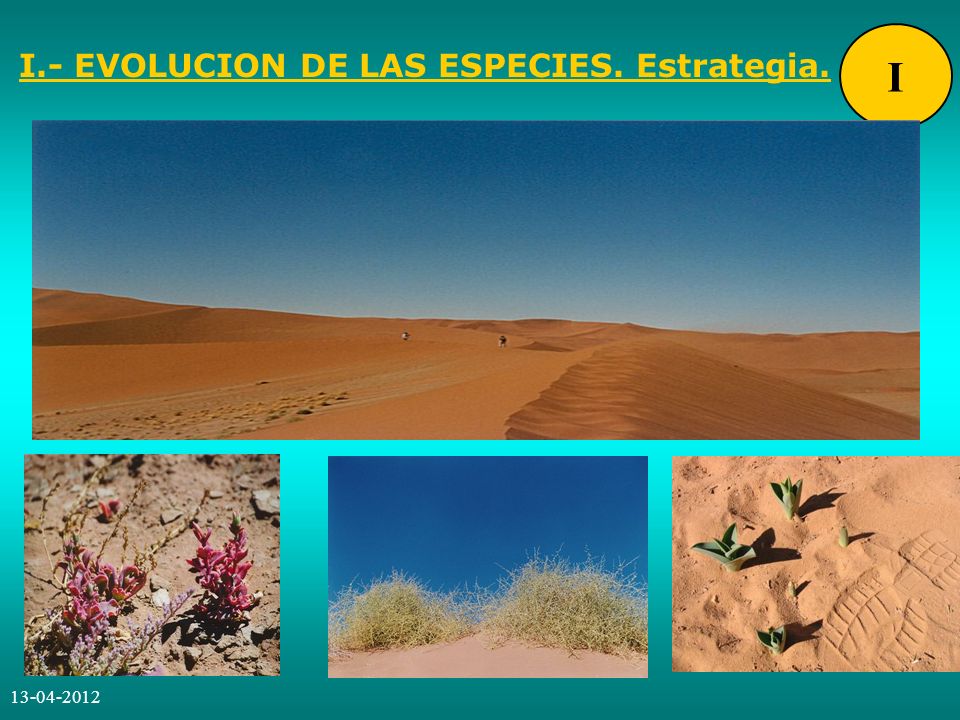I.- EVOLUCION DE LAS ESPECIES. Estrategia.