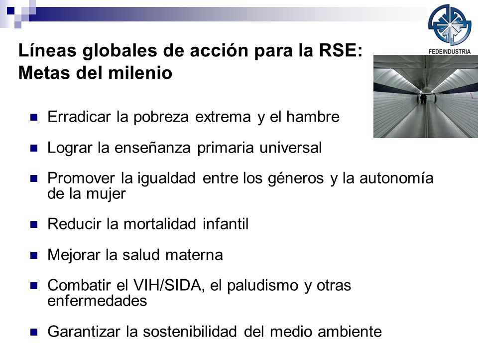 Líneas globales de acción para la RSE: Metas del milenio