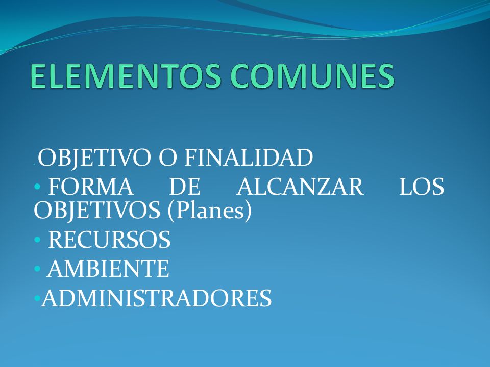 ELEMENTOS COMUNES FORMA DE ALCANZAR LOS OBJETIVOS (Planes) RECURSOS