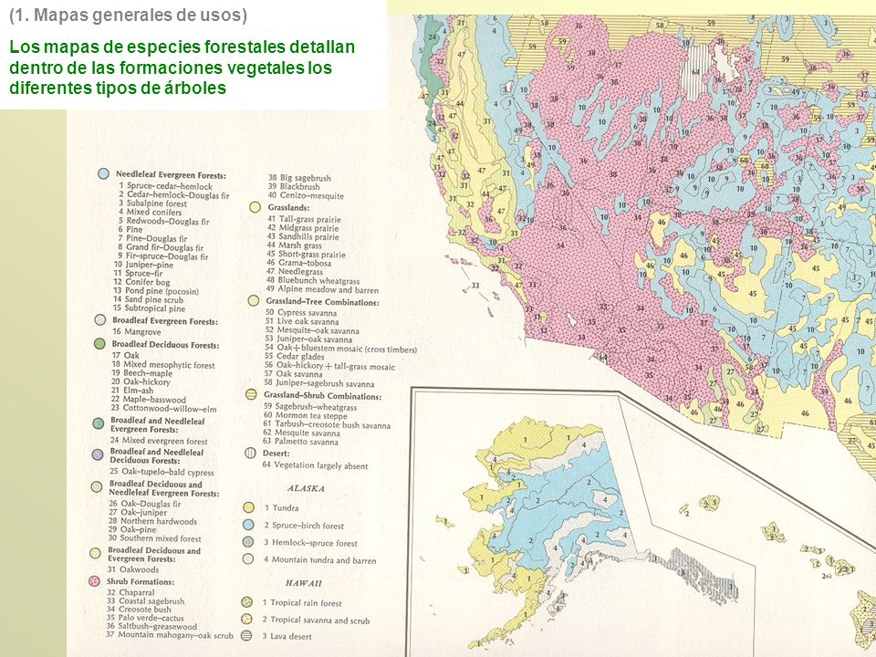 (1. Mapas generales de usos)