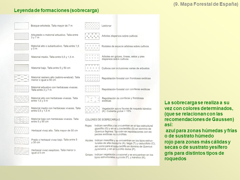 (9. Mapa Forestal de España) Leyenda de formaciones (sobrecarga)