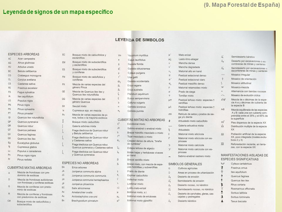 (9. Mapa Forestal de España) Leyenda de signos de un mapa específico