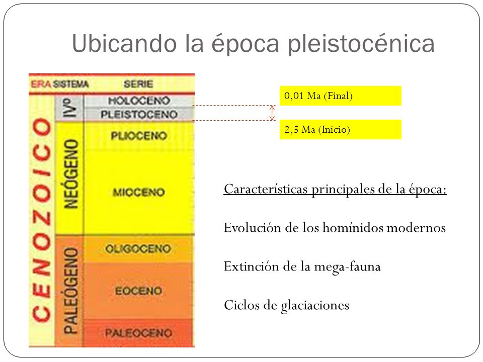Ubicando la época pleistocénica