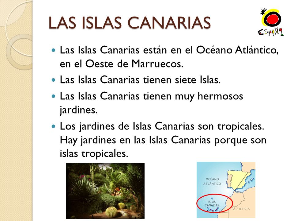 LAS ISLAS CANARIAS Las Islas Canarias están en el Océano Atlántico, en el Oeste de Marruecos. Las Islas Canarias tienen siete Islas.