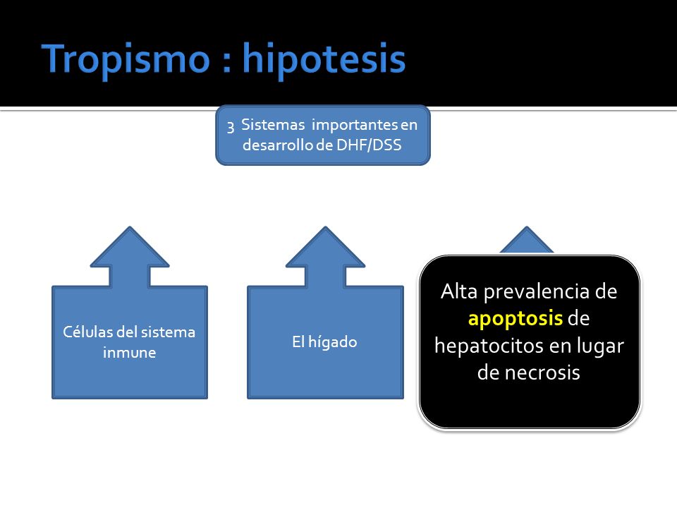 Tropismo : hipotesis 3 Sistemas importantes en desarrollo de DHF/DSS. Células del sistema inmune.