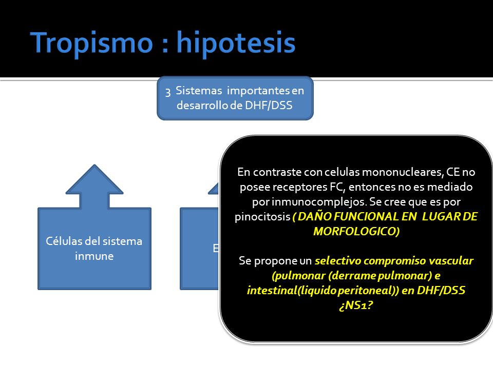 Tropismo : hipotesis 3 Sistemas importantes en desarrollo de DHF/DSS