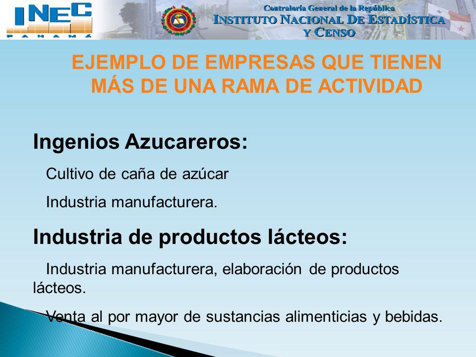 EJEMPLO DE EMPRESAS QUE TIENEN MÁS DE UNA RAMA DE ACTIVIDAD