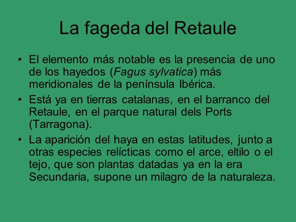 La fageda del Retaule El elemento más notable es la presencia de uno de los hayedos (Fagus sylvatica) más meridionales de la península Ibérica.