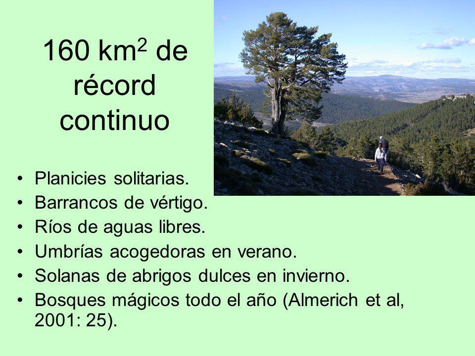 160 km2 de récord continuo Planicies solitarias. Barrancos de vértigo.