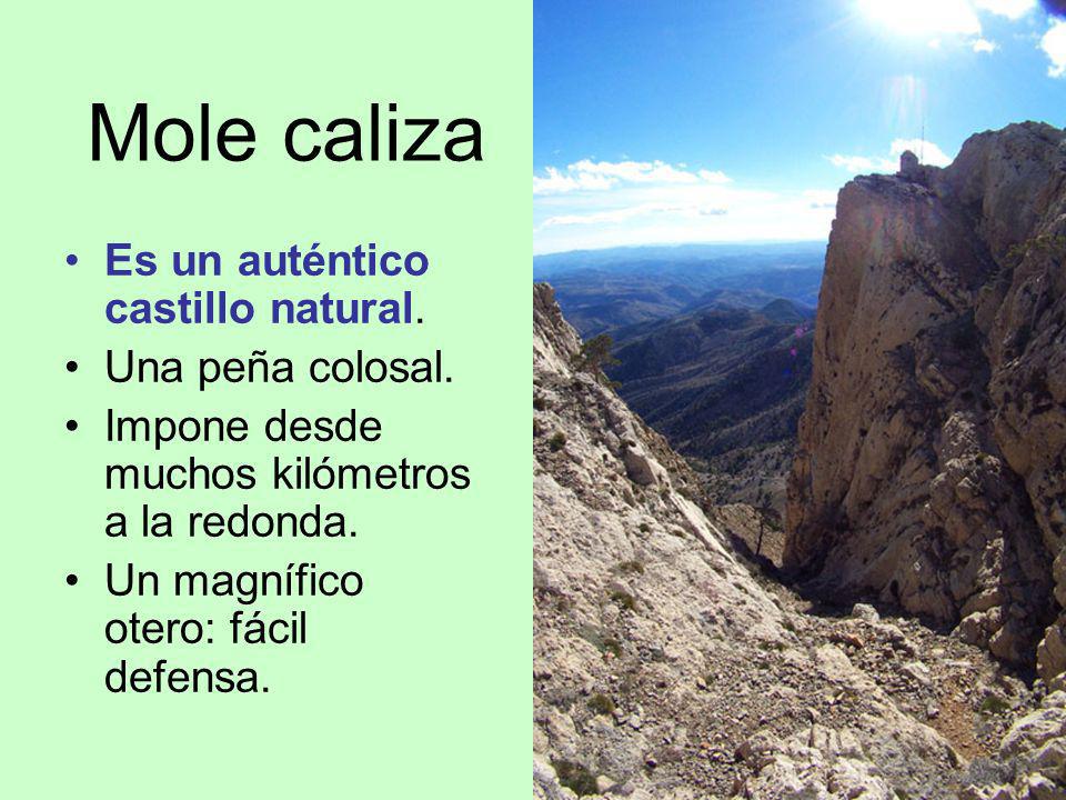 Mole caliza Es un auténtico castillo natural. Una peña colosal.
