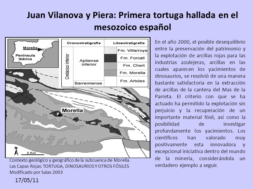 Juan Vilanova y Piera: Primera tortuga hallada en el mesozoico español