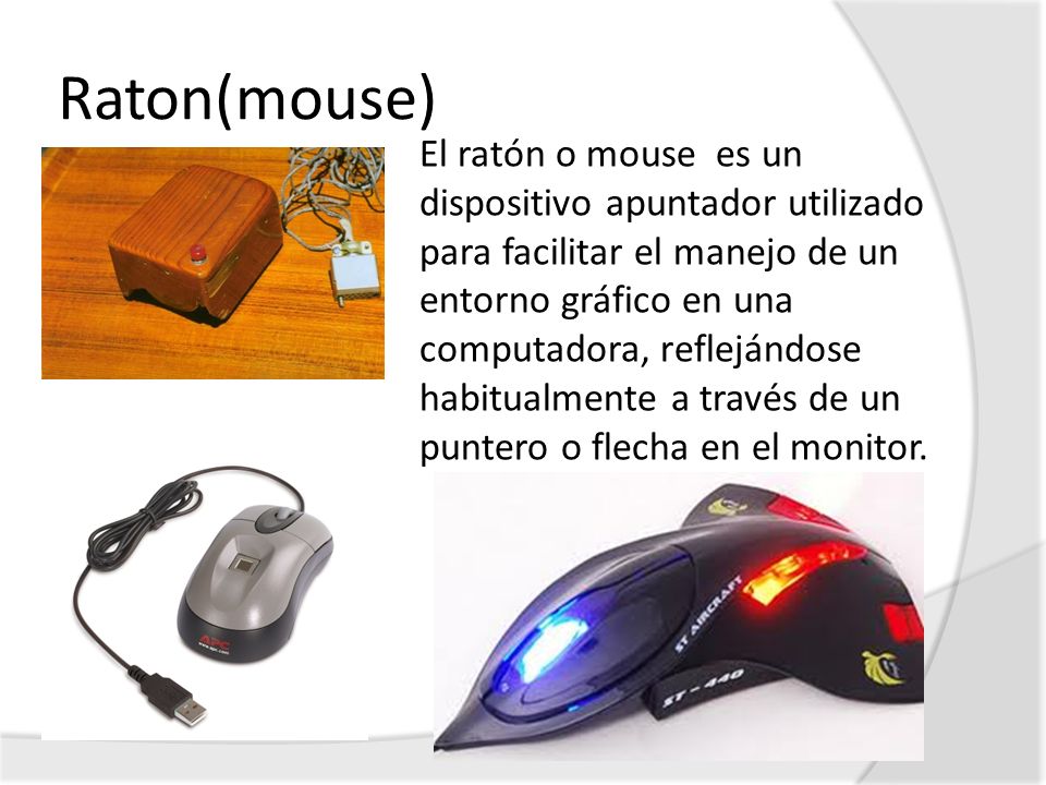 Raton(mouse)