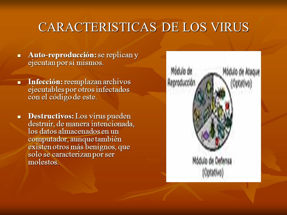 CARACTERISTICAS DE LOS VIRUS