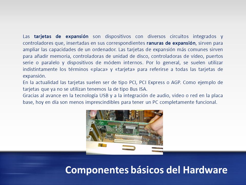 Componentes básicos del Hardware