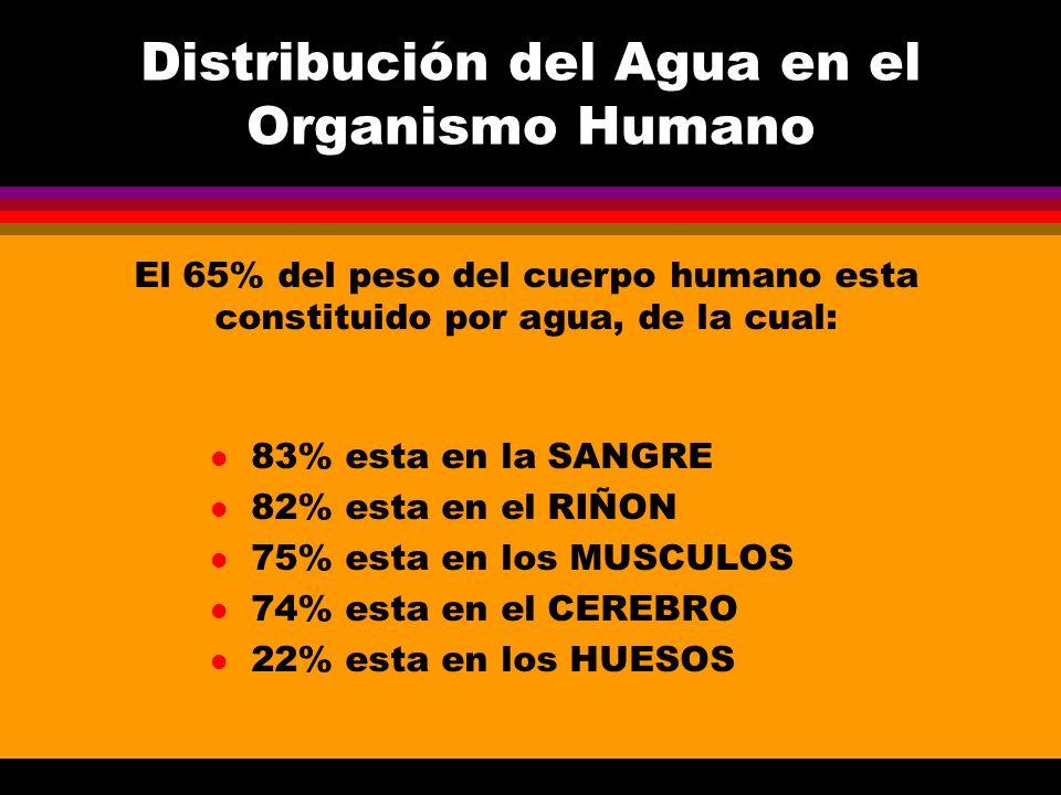 Distribución del Agua en el Organismo Humano