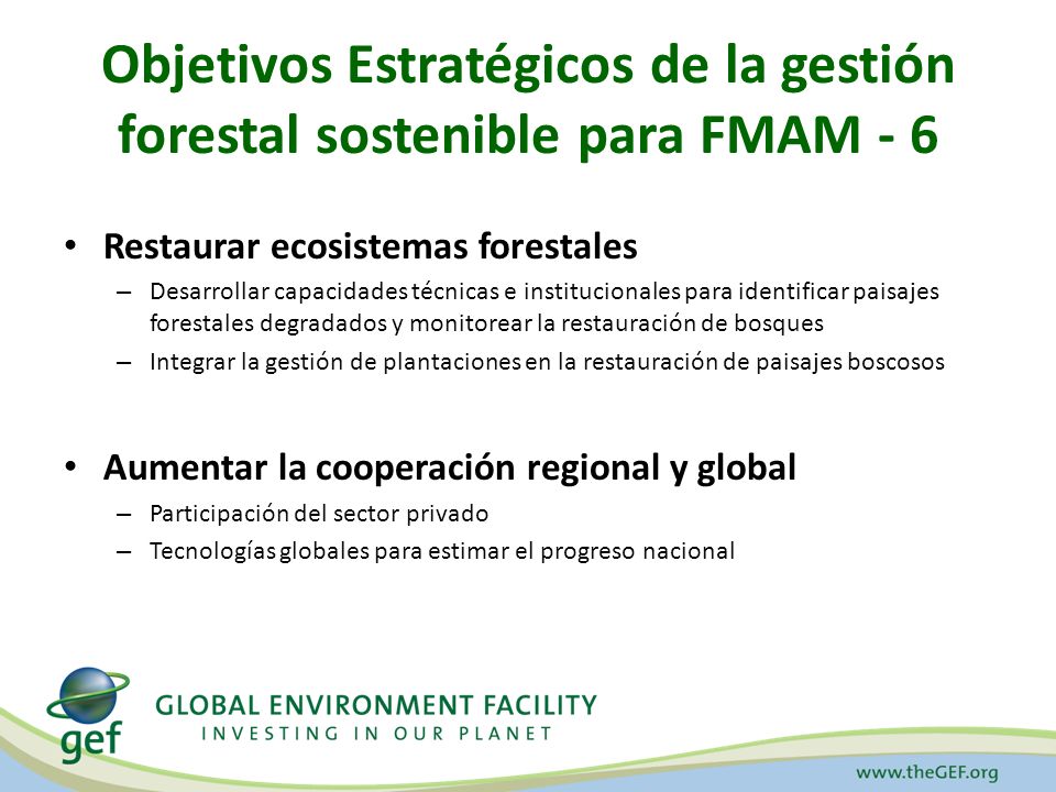 Objetivos Estratégicos de la gestión forestal sostenible para FMAM - 6