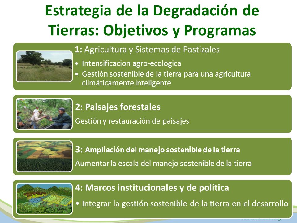 Estrategia de la Degradación de Tierras: Objetivos y Programas