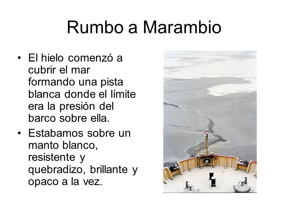 Rumbo a Marambio El hielo comenzó a cubrir el mar formando una pista blanca donde el límite era la presión del barco sobre ella.
