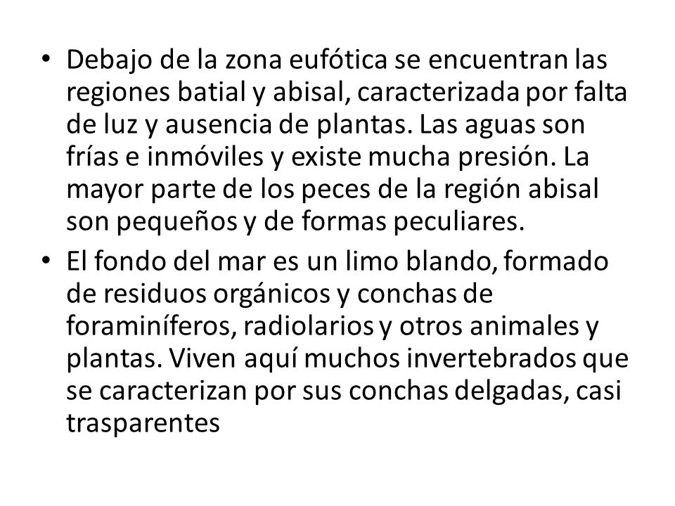Debajo de la zona eufótica se encuentran las regiones batial y abisal, caracterizada por falta de luz y ausencia de plantas. Las aguas son frías e inmóviles y existe mucha presión. La mayor parte de los peces de la región abisal son pequeños y de formas peculiares.