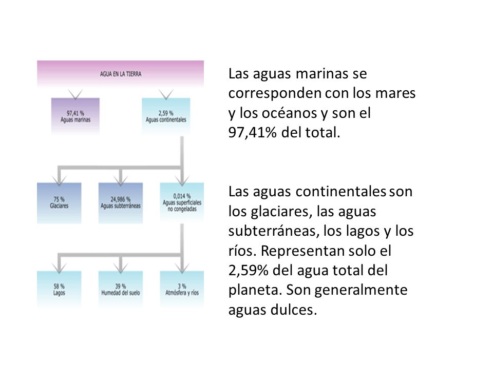 Las aguas marinas se corresponden con los mares y los océanos y son el 97,41% del total.