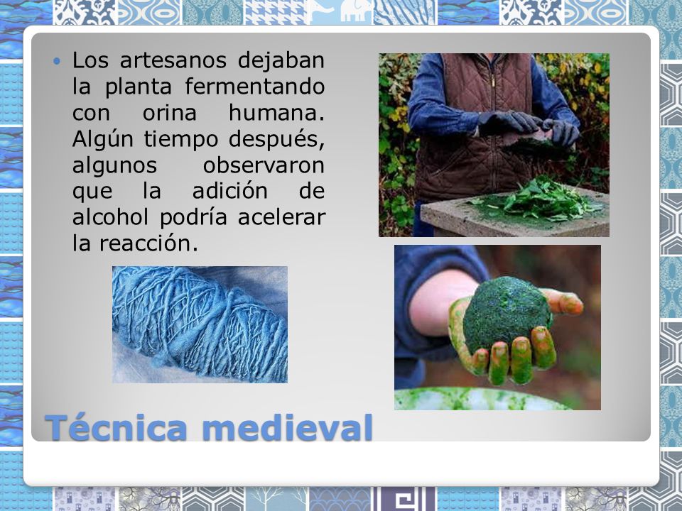 Los artesanos dejaban la planta fermentando con orina humana