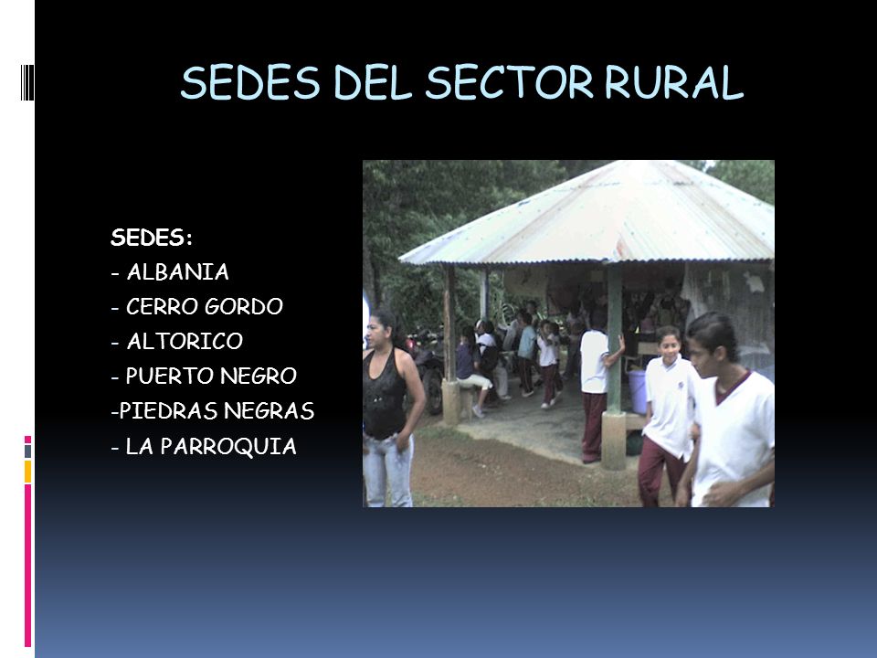 SEDES DEL SECTOR RURAL SEDES: - ALBANIA CERRO GORDO ALTORICO