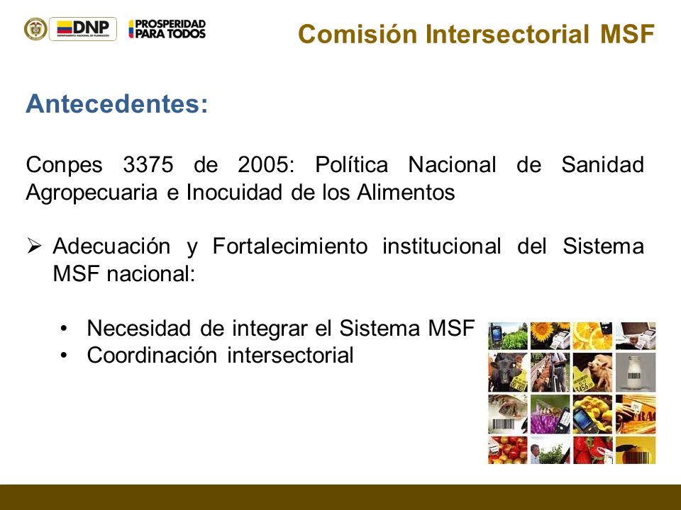 Comisión Intersectorial MSF