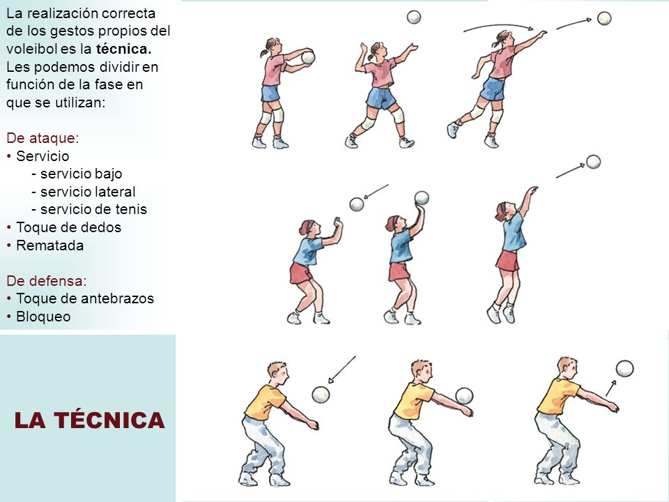 La realización correcta de los gestos propios del voleibol es la técnica. Les podemos dividir en función de la fase en que se utilizan: