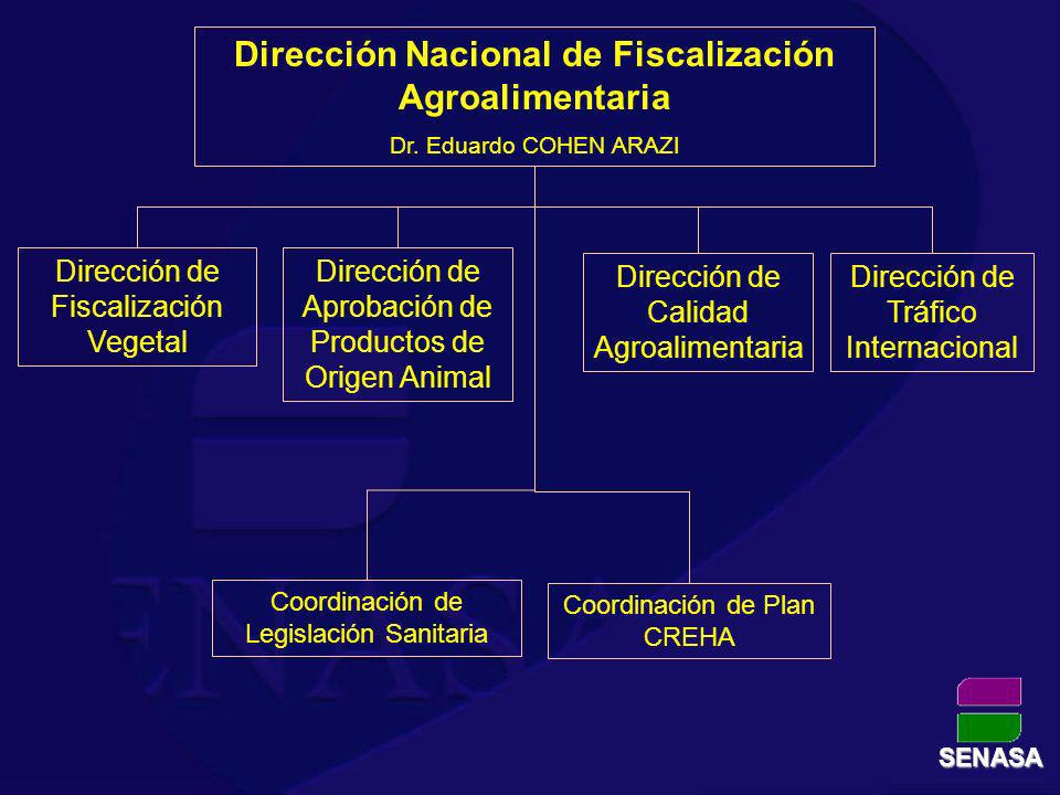 Dirección Nacional de Fiscalización Agroalimentaria