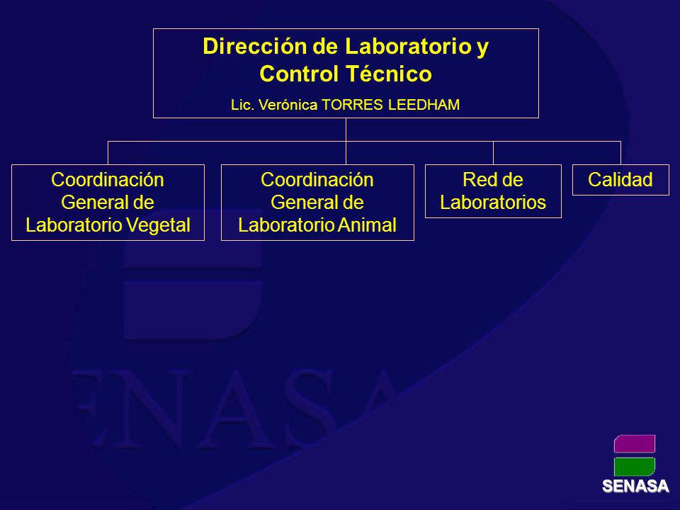 Dirección de Laboratorio y Control Técnico