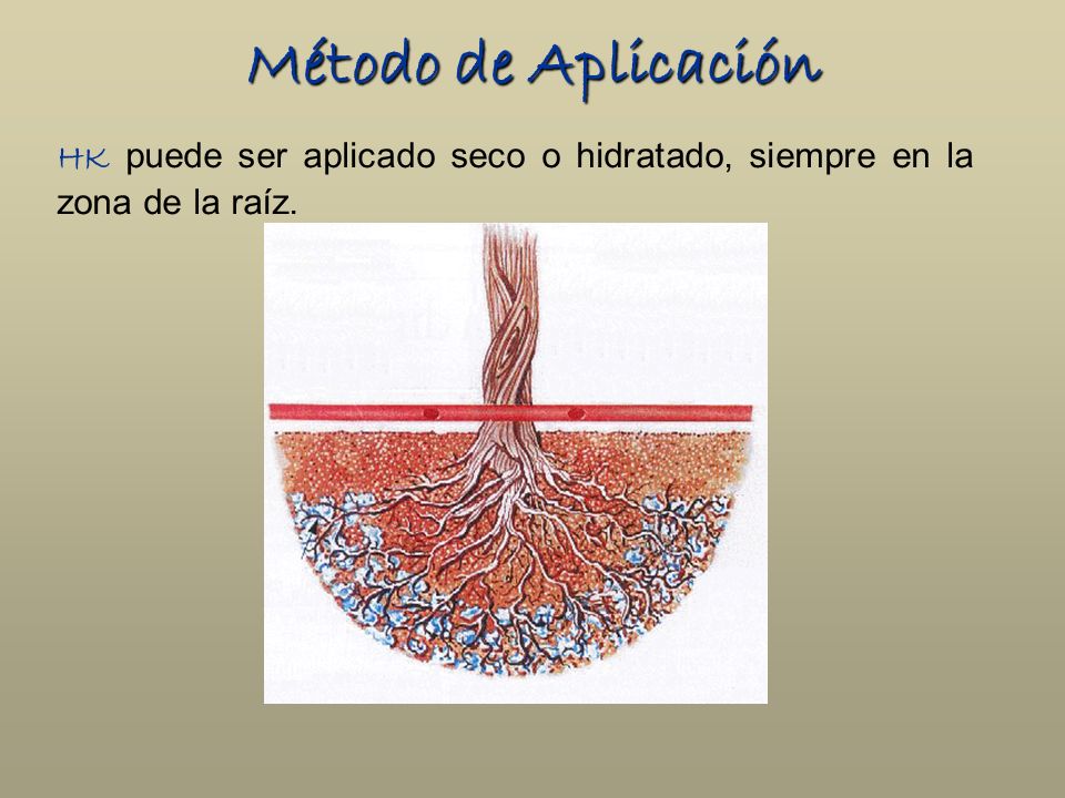 Método de Aplicación HK puede ser aplicado seco o hidratado, siempre en la zona de la raíz.