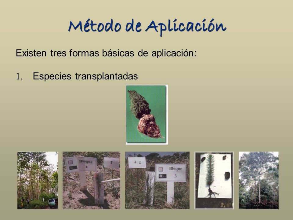 Método de Aplicación Existen tres formas básicas de aplicación: