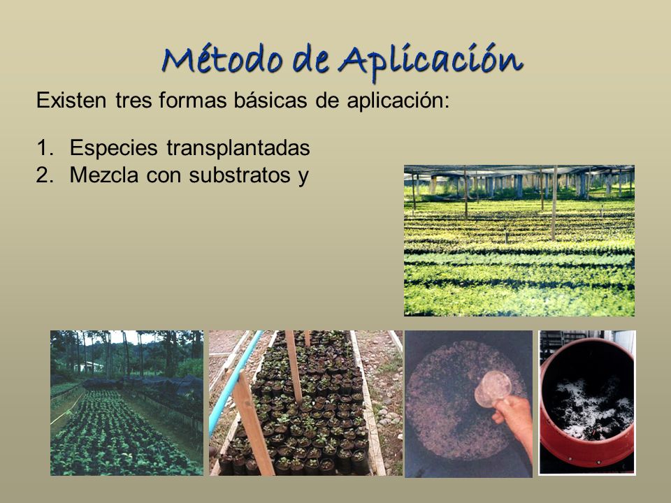 Método de Aplicación Existen tres formas básicas de aplicación: