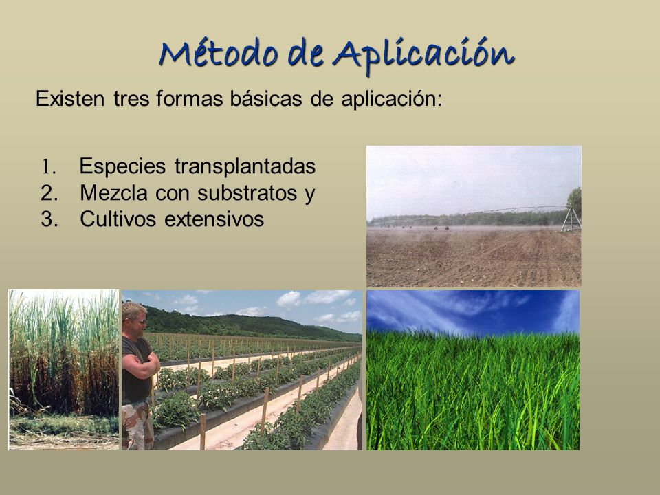 Método de Aplicación Existen tres formas básicas de aplicación: