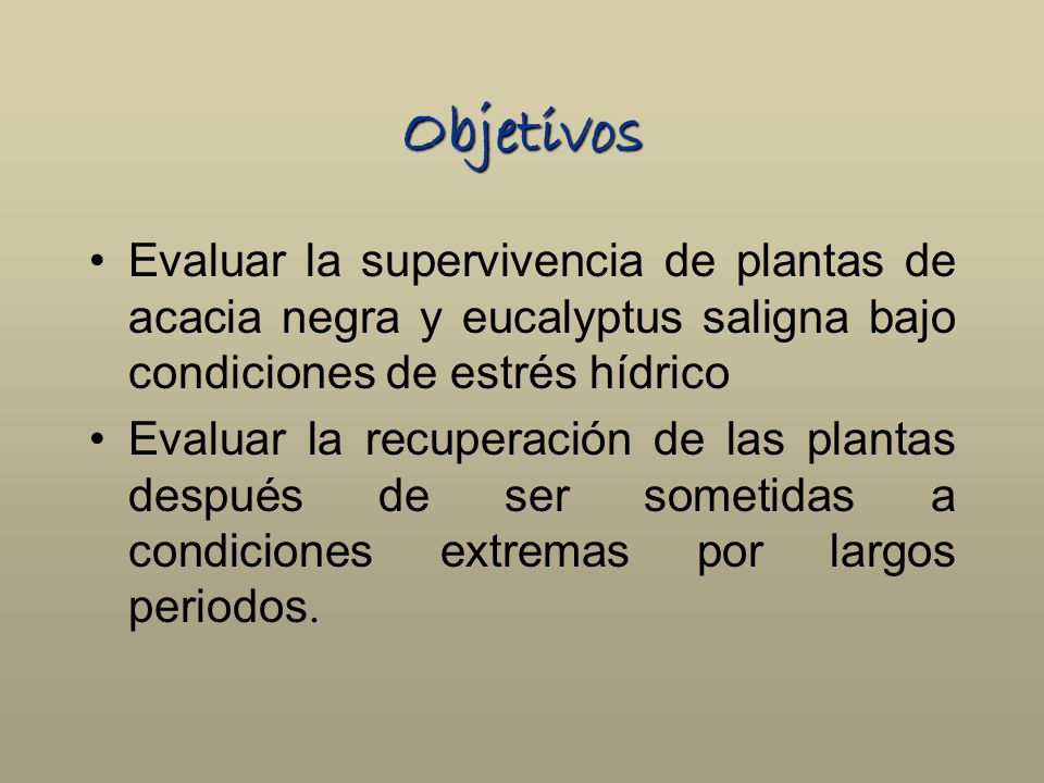 Objetivos Evaluar la supervivencia de plantas de acacia negra y eucalyptus saligna bajo condiciones de estrés hídrico.