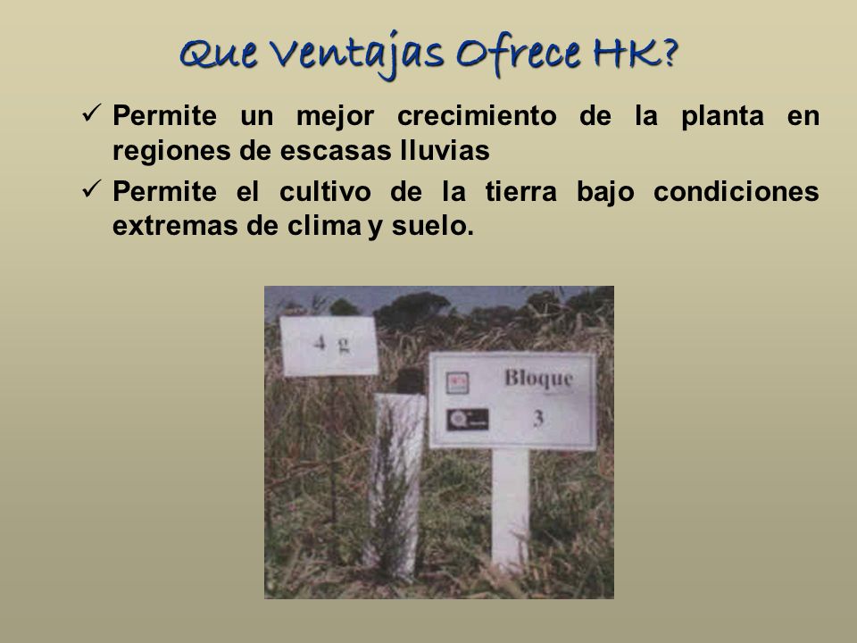 Que Ventajas Ofrece HK Permite un mejor crecimiento de la planta en regiones de escasas lluvias.