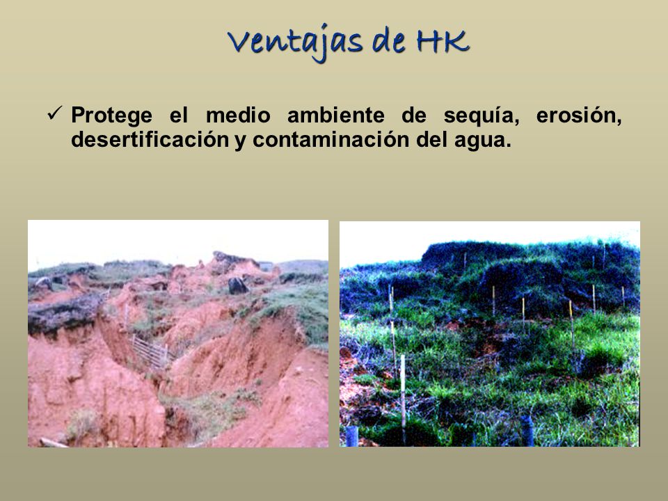 Ventajas de HK Protege el medio ambiente de sequía, erosión, desertificación y contaminación del agua.