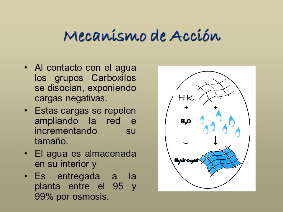 Mecanismo de Acción Al contacto con el agua los grupos Carboxilos se disocian, exponiendo cargas negativas.