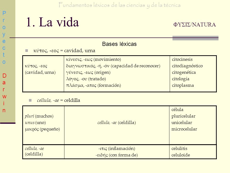 ΦΥΣΙΣ / ΝATURA Fundamentos léxicos de las ciencias y de la técnica. Proyecto Darwin. 1. La vida ΦΥΣΙΣ/NATURA.
