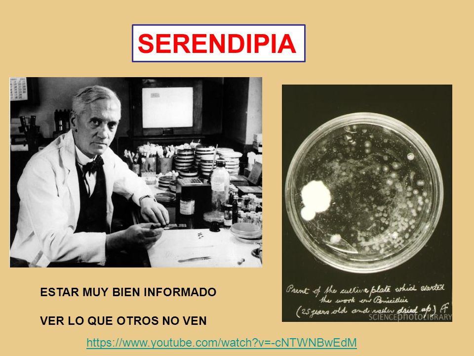 SERENDIPIA ESTAR MUY BIEN INFORMADO VER LO QUE OTROS NO VEN
