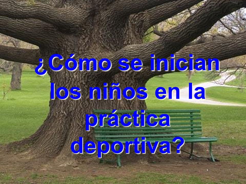 ¿Cómo se inician los niños en la práctica deportiva
