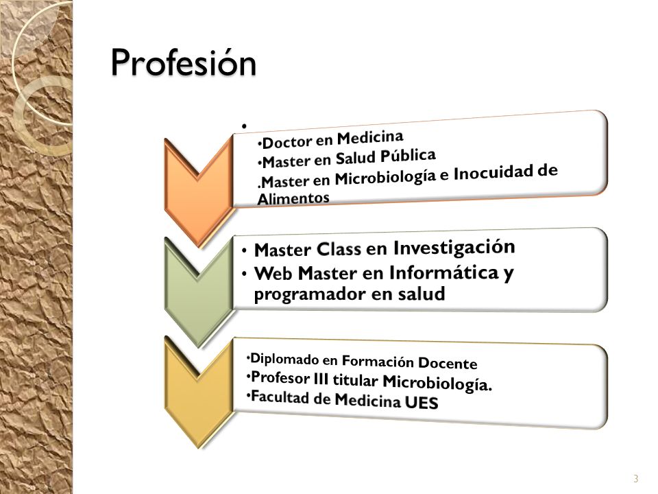 Profesión Master Class en Investigación