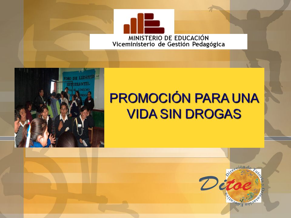 MINISTERIO DE EDUCACIÓN Viceministerio de Gestión Pedagógica