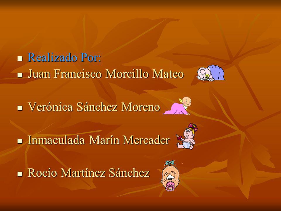 Realizado Por: Juan Francisco Morcillo Mateo. Verónica Sánchez Moreno. Inmaculada Marín Mercader.