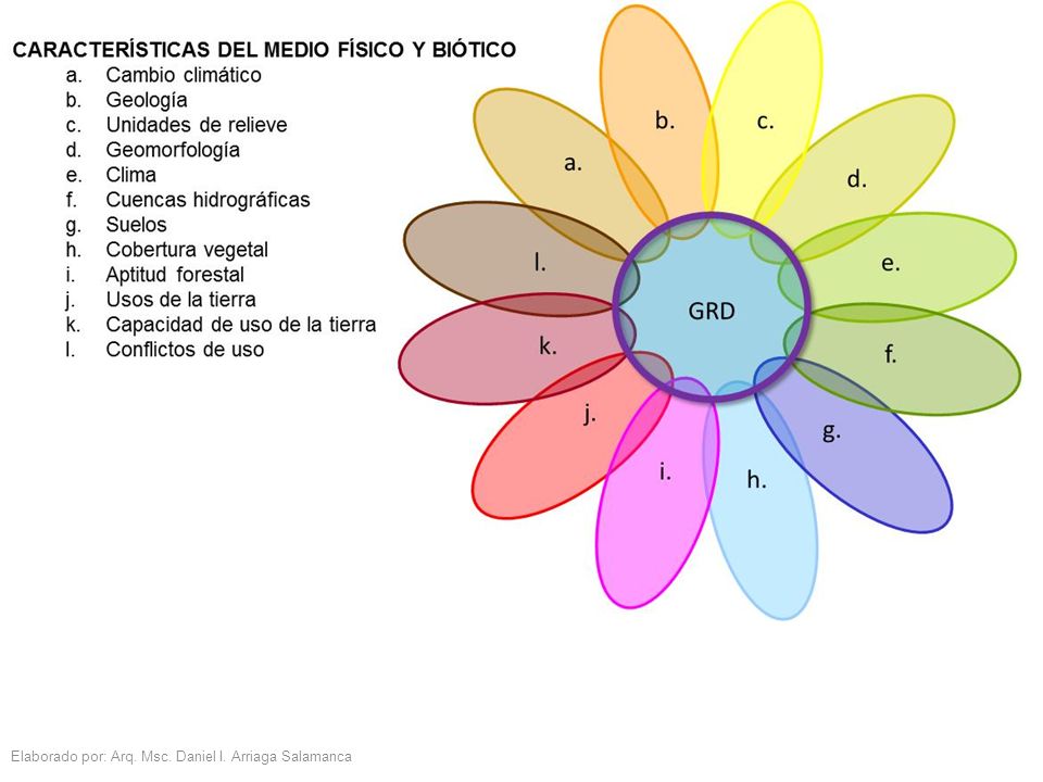 Elaborado por: Arq. Msc. Daniel I. Arriaga Salamanca