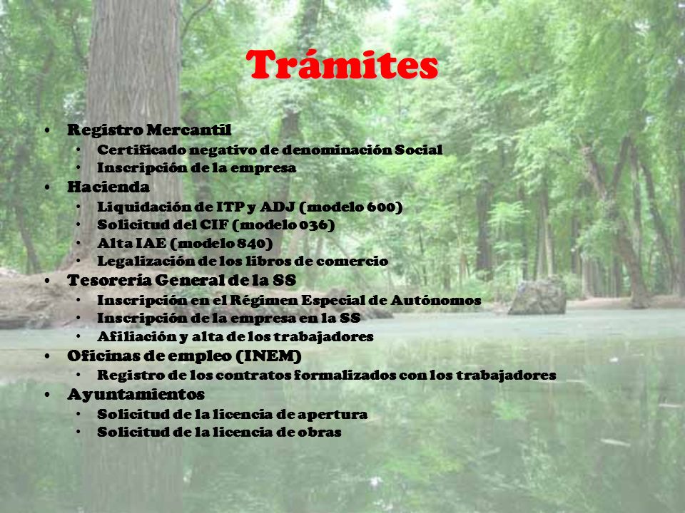 Trámites Registro Mercantil Hacienda Tesorería General de la SS