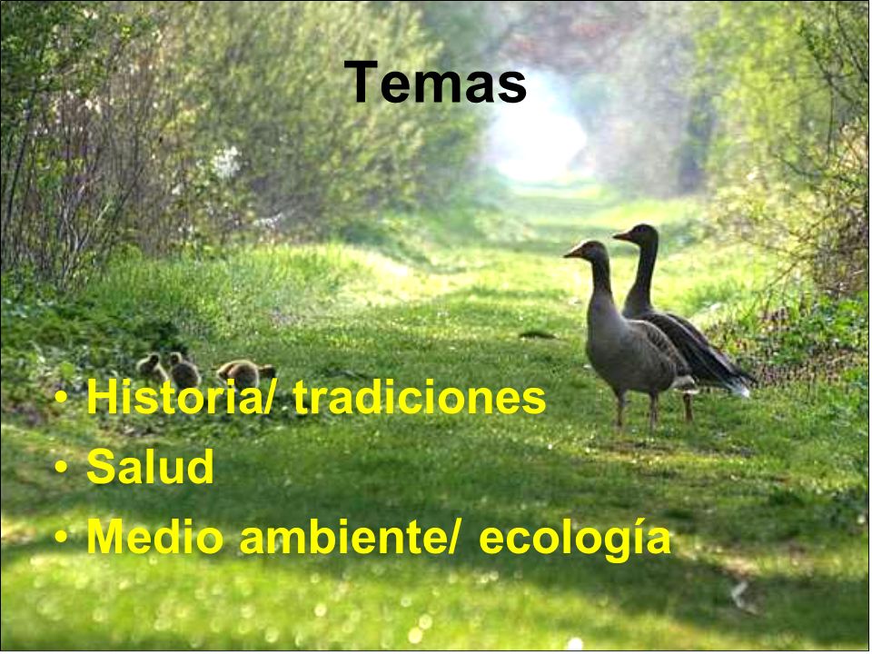 Temas Historia/ tradiciones Salud Medio ambiente/ ecología