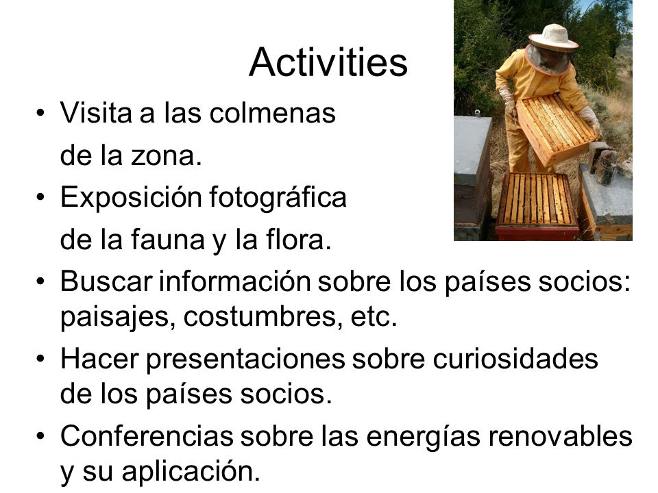 Activities Visita a las colmenas de la zona. Exposición fotográfica