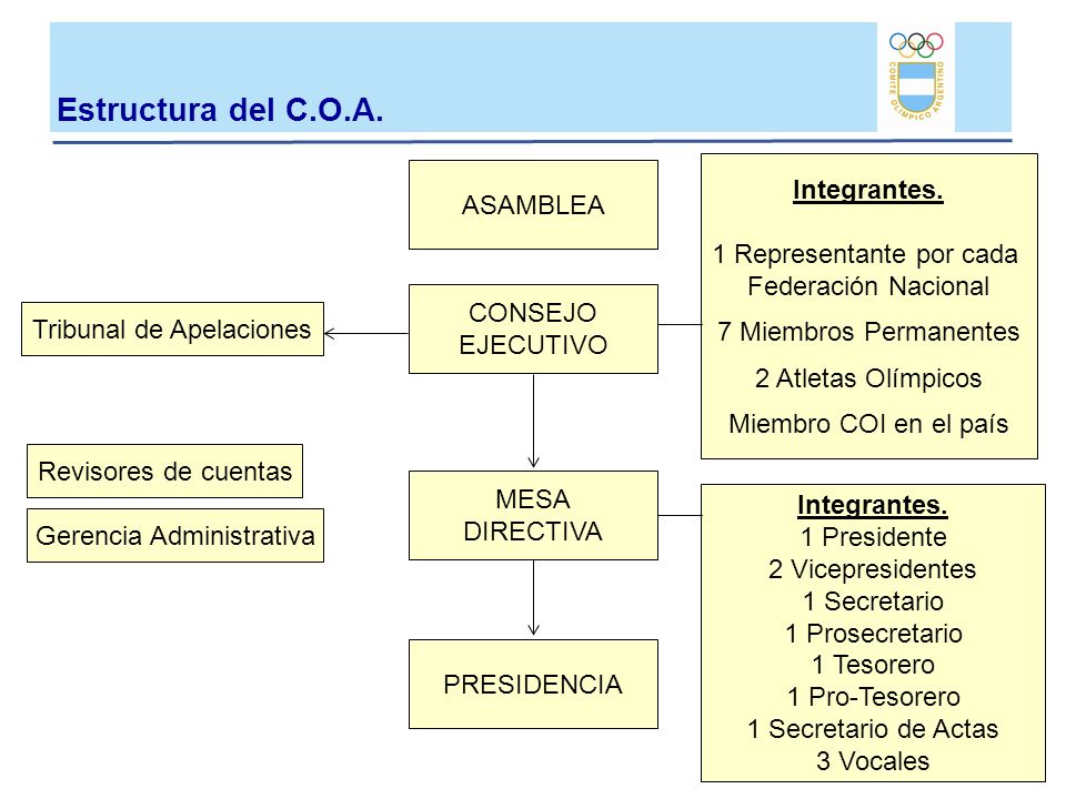 Estructura del C.O.A. Integrantes. ASAMBLEA 1 Representante por cada