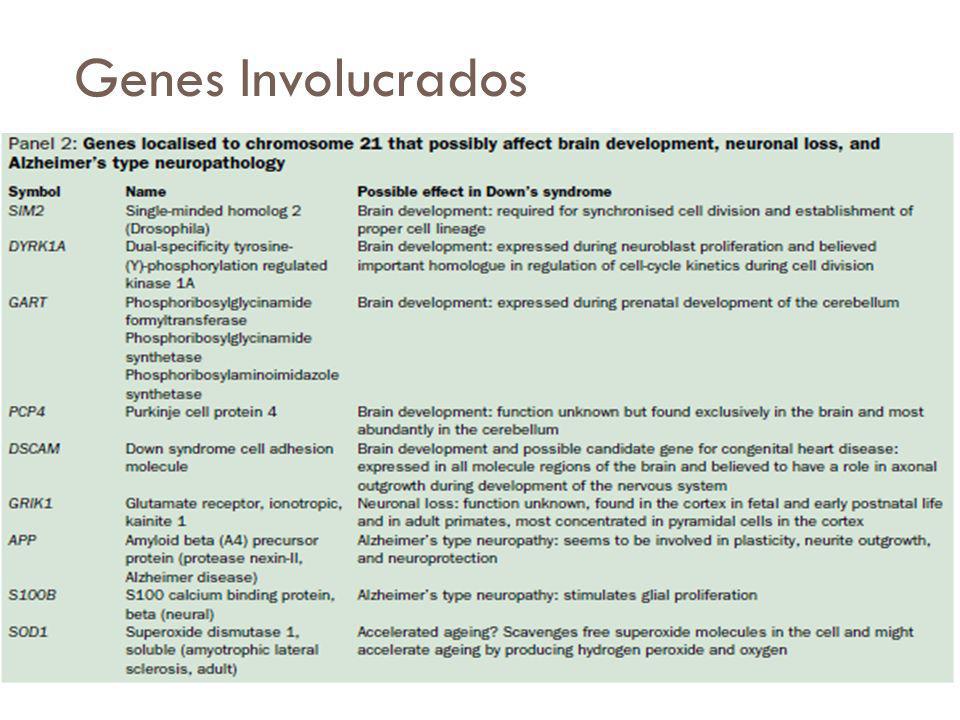 Genes Involucrados Estudios han relacionado la disfunción mitocondrial con el síndrome de Down y la enfermedad de Alzheimer.
